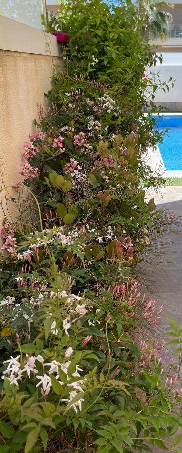 Villa Azul San Pedro del Pinatar Eksteriør bilde